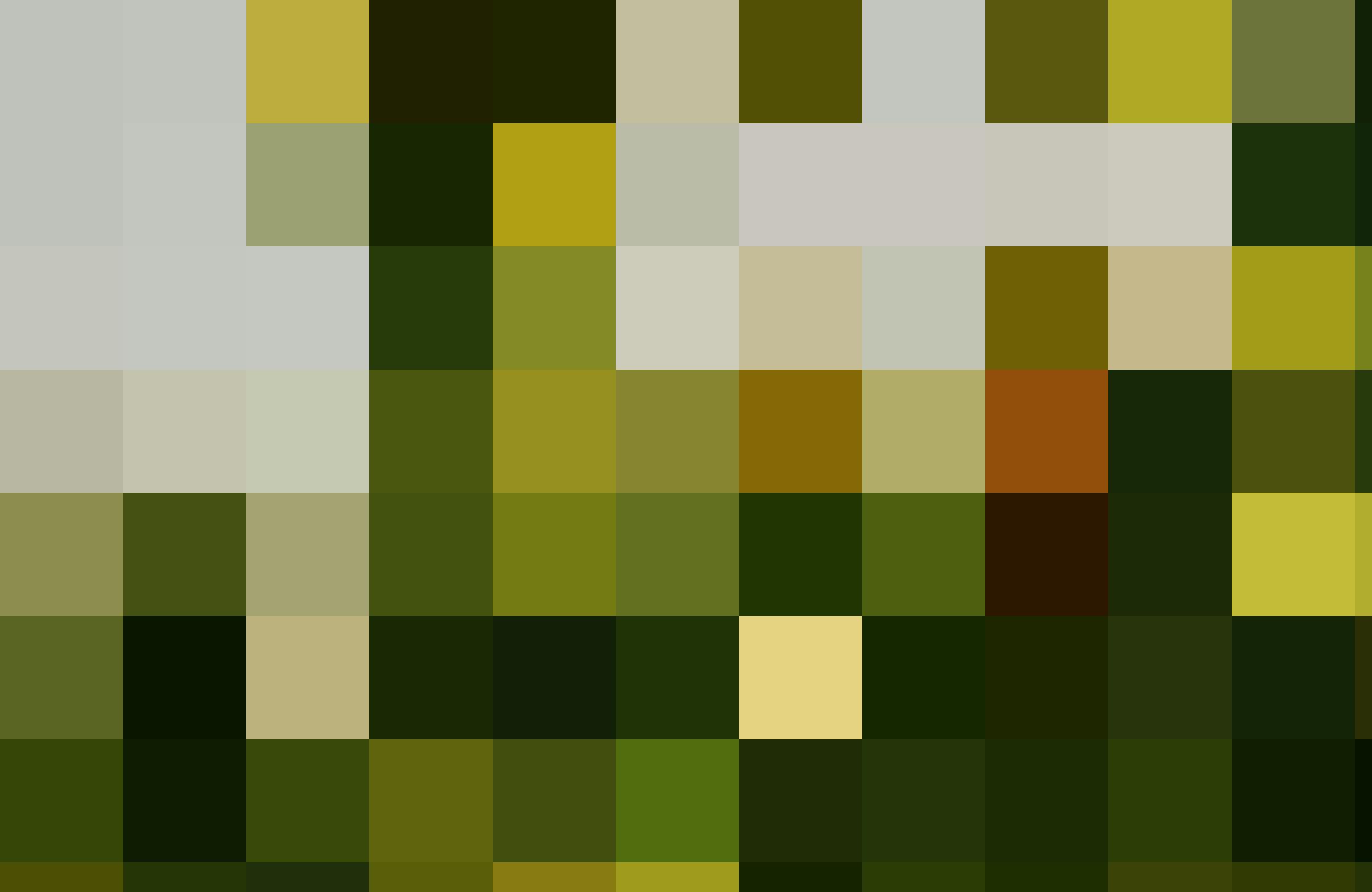 8d22db24 e56b 4a8a 9fb9 74763b27d01f rw 1920